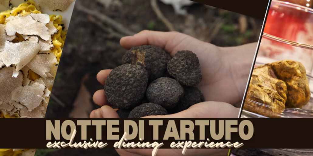 Notte di Tartufo